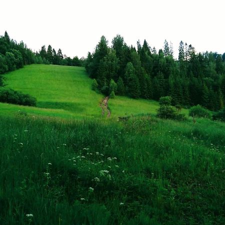 Domek W Gorach Pod Rysianka Zlatna Dış mekan fotoğraf
